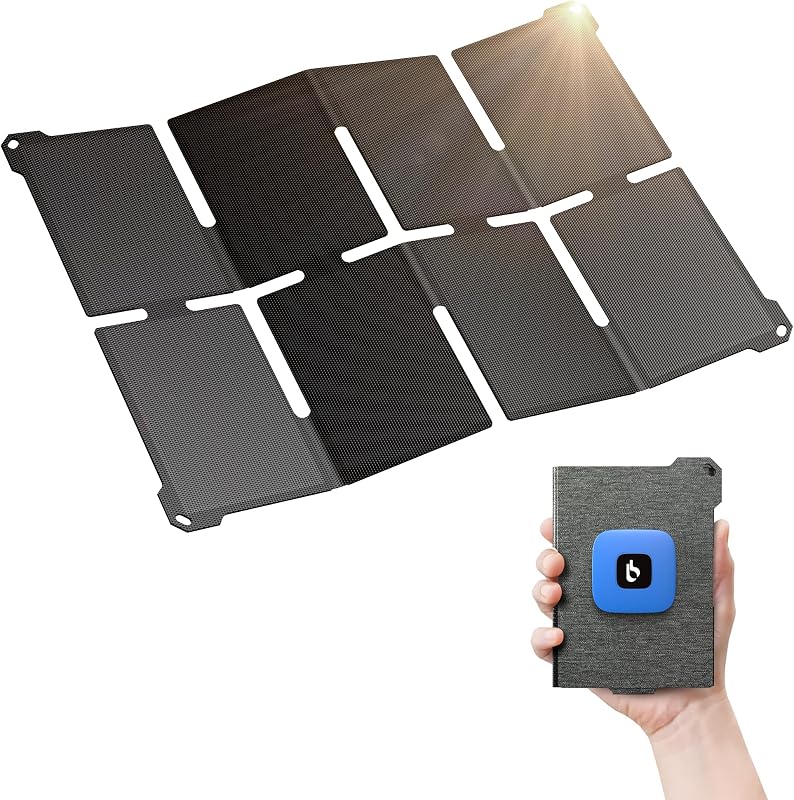 EcoFlow 160W vs Bluetti PV200 for winter van life boondockin